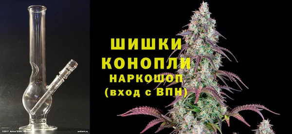 амф Аркадак