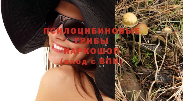 мдпв Михайловск