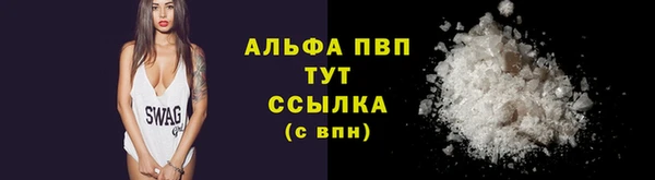 дживик Арсеньев