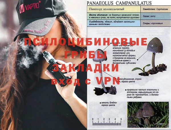 дживик Арсеньев