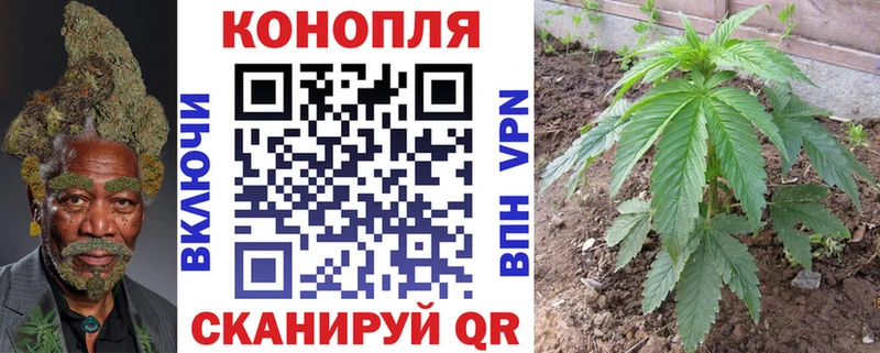 Конопля ГИДРОПОН  Купить закладки  Биробиджан 
